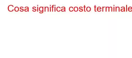 Cosa significa costo terminale?