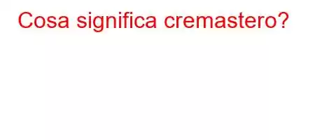 Cosa significa cremastero?