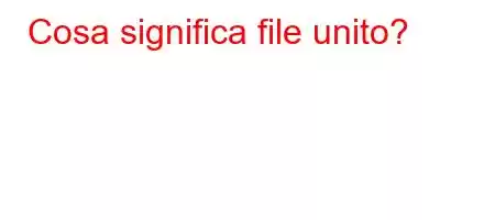 Cosa significa file unito?