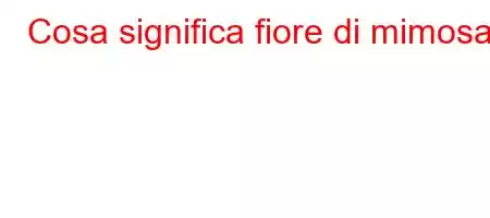 Cosa significa fiore di mimosa?