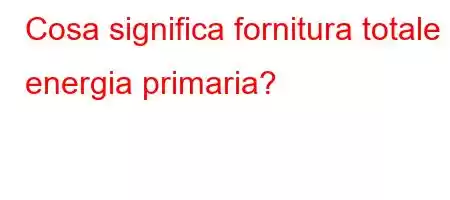 Cosa significa fornitura totale di energia primaria?