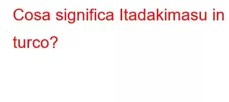 Cosa significa Itadakimasu in turco