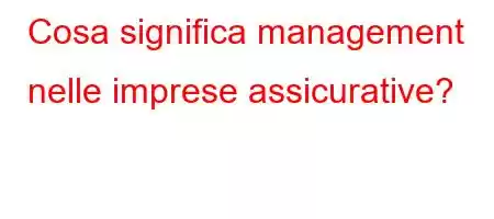 Cosa significa management nelle imprese assicurative?