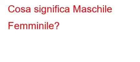 Cosa significa Maschile Femminile?