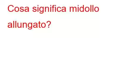 Cosa significa midollo allungato