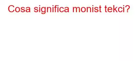 Cosa significa monist tekci?