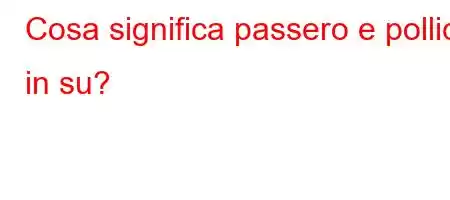 Cosa significa passero e pollice in su