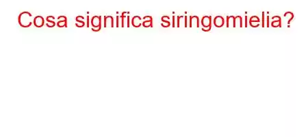 Cosa significa siringomielia?