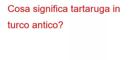 Cosa significa tartaruga in turco antico?