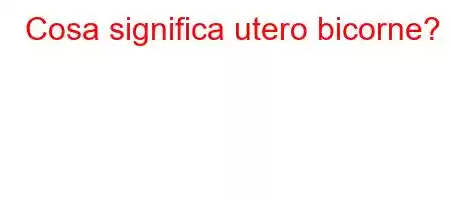 Cosa significa utero bicorne?