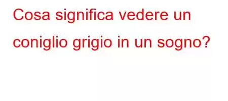 Cosa significa vedere un coniglio grigio in un sogno?