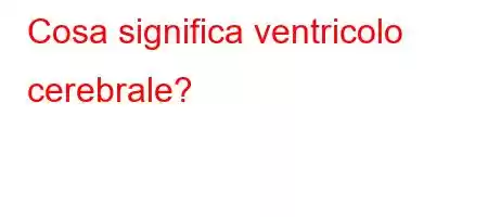 Cosa significa ventricolo cerebrale