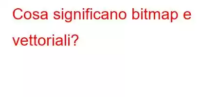 Cosa significano bitmap e vettoriali?