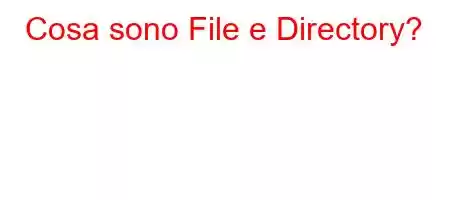 Cosa sono File e Directory