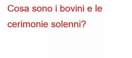 Cosa sono i bovini e le cerimonie solenni