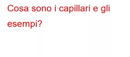 Cosa sono i capillari e gli esempi?