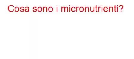 Cosa sono i micronutrienti