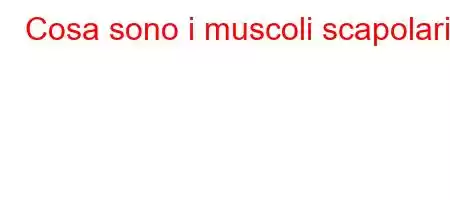 Cosa sono i muscoli scapolari