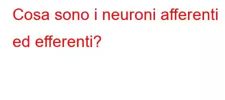 Cosa sono i neuroni afferenti ed efferenti?