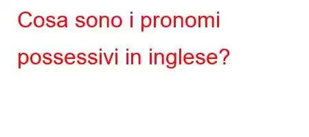 Cosa sono i pronomi possessivi in  