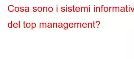 Cosa sono i sistemi informativi del top management