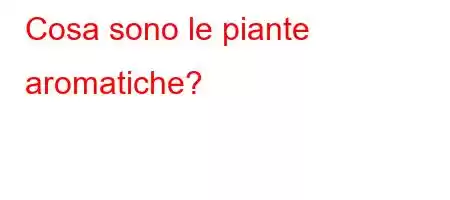 Cosa sono le piante aromatiche?