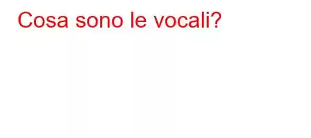 Cosa sono le vocali?