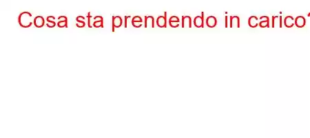 Cosa sta prendendo in carico?