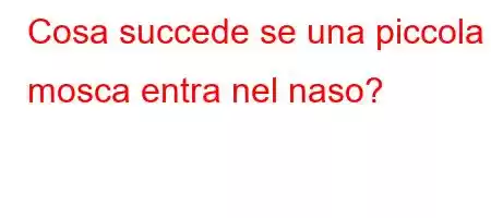 Cosa succede se una piccola mosca entra nel naso?