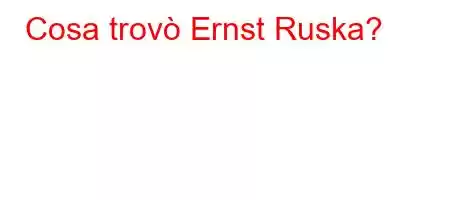 Cosa trovò Ernst Ruska