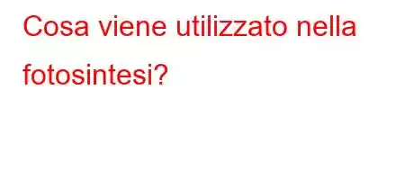 Cosa viene utilizzato nella fotosintesi?