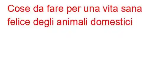 Cose da fare per una vita sana e felice degli animali domestici