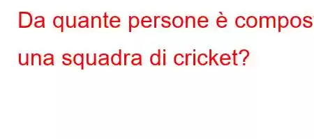 Da quante persone è composta una squadra di cricket?