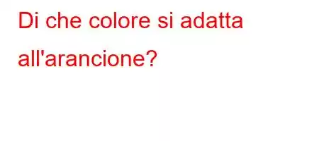 Di che colore si adatta all'arancione?