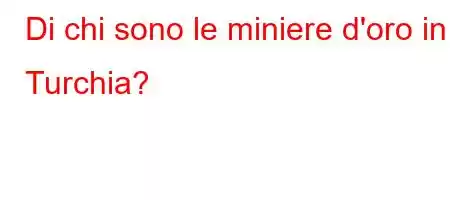 Di chi sono le miniere d'oro in Turchia?