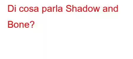 Di cosa parla Shadow and Bone