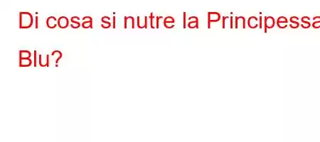 Di cosa si nutre la Principessa Blu