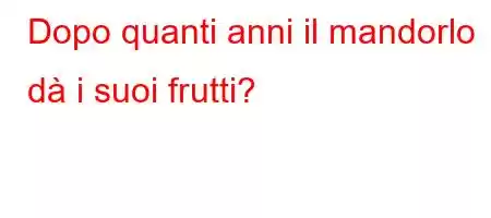 Dopo quanti anni il mandorlo dà i suoi frutti?