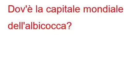 Dov'è la capitale mondiale dell'albicocca?