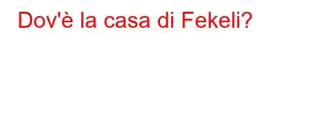 Dov'è la casa di Fekeli?