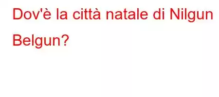 Dov'è la città natale di Nilgun Belgun?