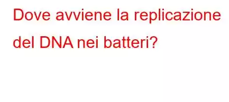 Dove avviene la replicazione del DNA nei batteri?