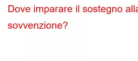 Dove imparare il sostegno alla sovvenzione?