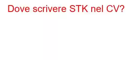 Dove scrivere STK nel CV?