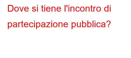 Dove si tiene l'incontro di partecipazione pubblica?