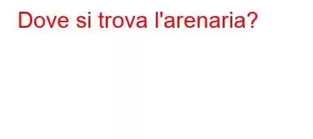 Dove si trova l'arenaria?