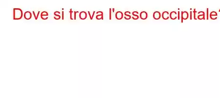 Dove si trova l'osso occipitale?