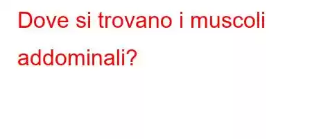 Dove si trovano i muscoli addominali?