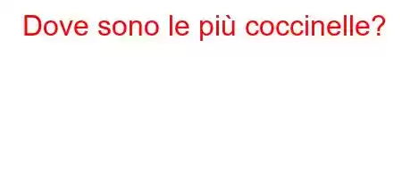 Dove sono le più coccinelle?