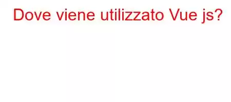 Dove viene utilizzato Vue js?